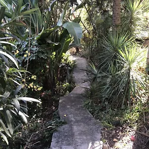 Casa Simba (adults Only) Maison d'hôtes
